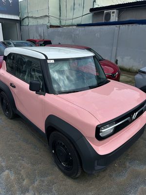 VinFast VF 3 màu Hồng bản tc2. Mua bán Ô tô tại Quận Gò Vấp Tp Hồ Chí Minh được đăng bởi Trần Huy Vinfast 