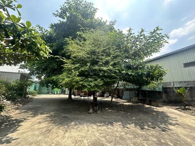 Cho thuê đất trống 1000m2 tại Tân Phú