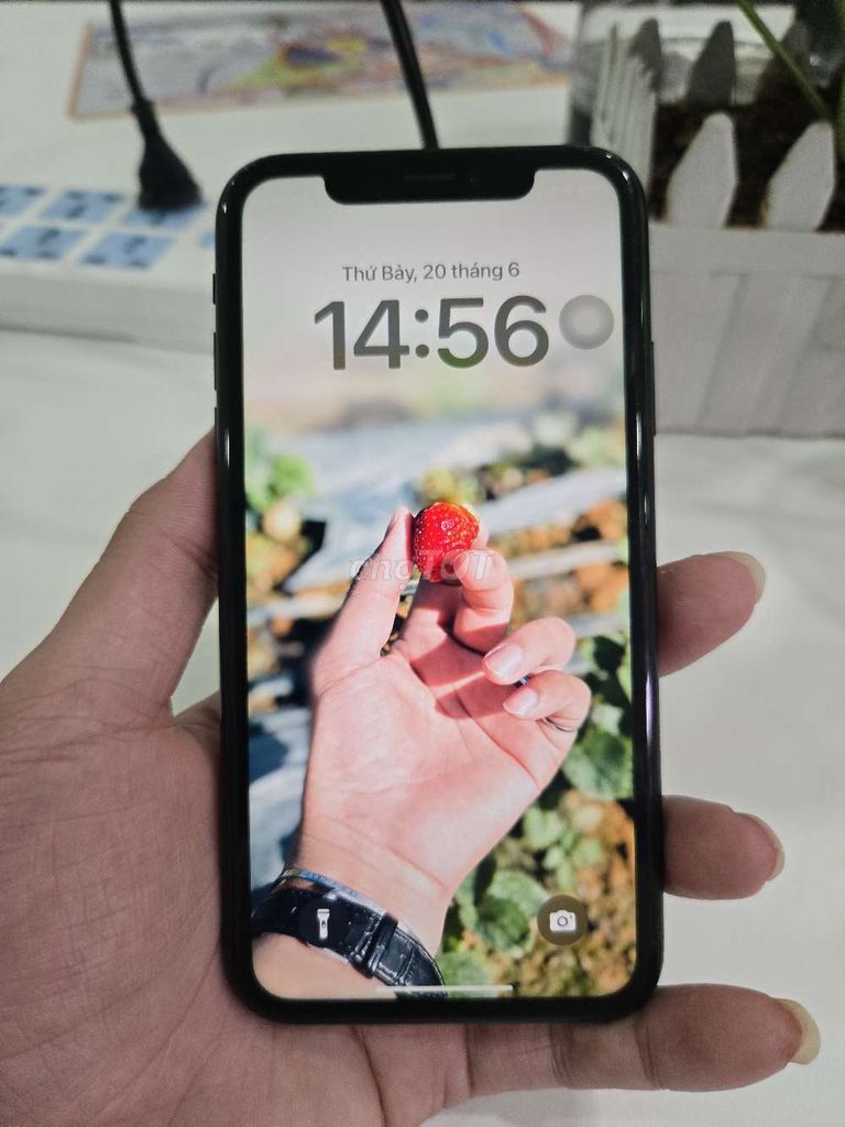 Apple iPhone XR QT zin cần bán hoặc GL. Mua bán Điện thoại tại Quận Phú Nhuận Tp Hồ Chí Minh được đăng bởi Gianggg hình 1