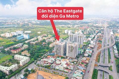 căn hộ The Eastgate - bán căn 1pn+ 1wc  giá 2ty4, Đông Hoà, Hcm