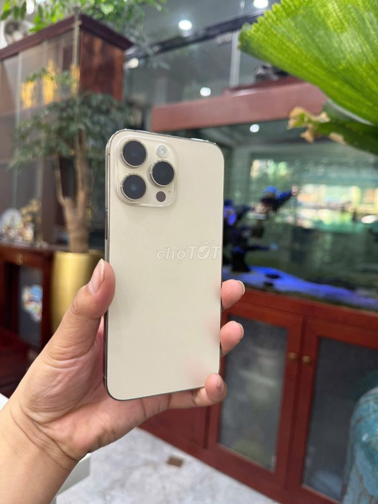 apple ip 14 ProMax - chính chủ bán tại nhà - CHUẨN. Mua bán Điện thoại tại Quận Thanh Xuân Hà Nội được đăng bởi Huỳnh Thị An hình 1