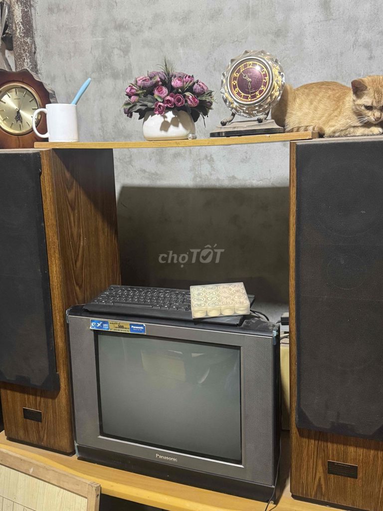 Loa Pioneer S-T300 Nâu. Mua bán Tivi, Âm thanh tại Quận Long Biên Hà Nội được đăng bởi A Vu hình 1