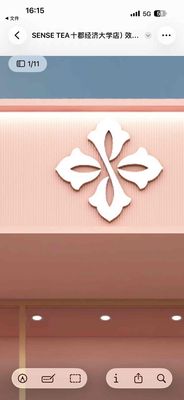 cty shengyu logo