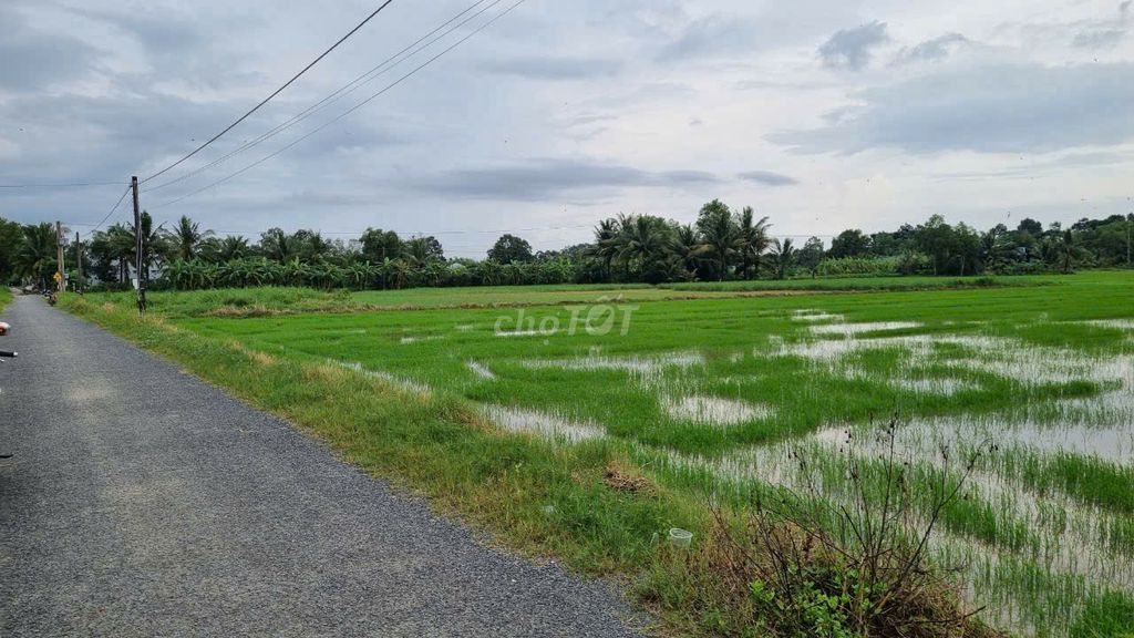 Đất công xã Lương Hòa Châu Thành Trà Vinh