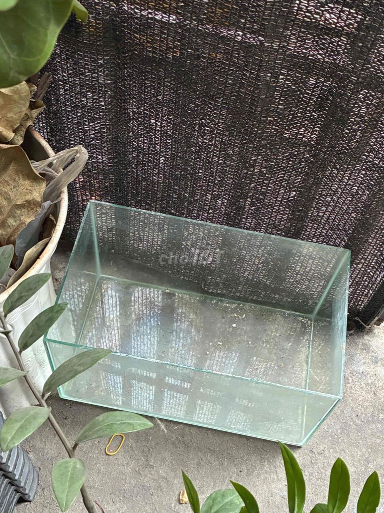 Bể cá Kính 39x23x23 cm. Mua bán Phụ kiện, Thức ăn, Dịch vụ tại Quận Gò Vấp Tp Hồ Chí Minh được đăng bởi Trần Thị Thạch Thảo hình 1