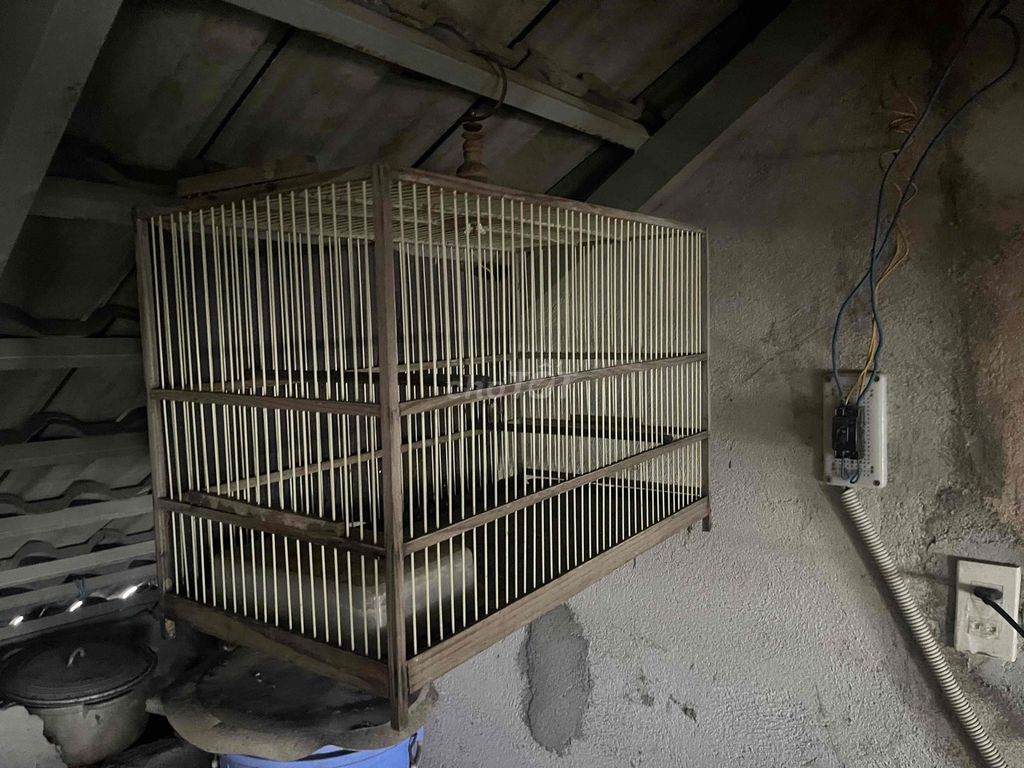 Lồng chim gỗ màu nâu. Mua bán Phụ kiện, Thức ăn, Dịch vụ tại Quận Tân Bình Tp Hồ Chí Minh được đăng bởi lê hình 1