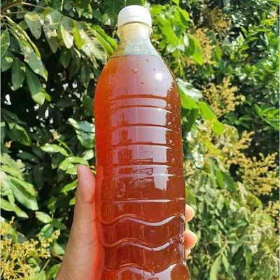 Mật ong nhãn - món quà quý từ thiên nhiên. Mua bán Đồ ăn, thực phẩm và các loại khác tại Quận Tân Bình Tp Hồ Chí Minh được đăng bởi Lan Luu