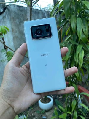 Sharp Aquos R6 12/128 Trắng zin đẹp. Mua bán Điện thoại tại Quận Ninh Kiều Cần Thơ được đăng bởi Ty Xperia