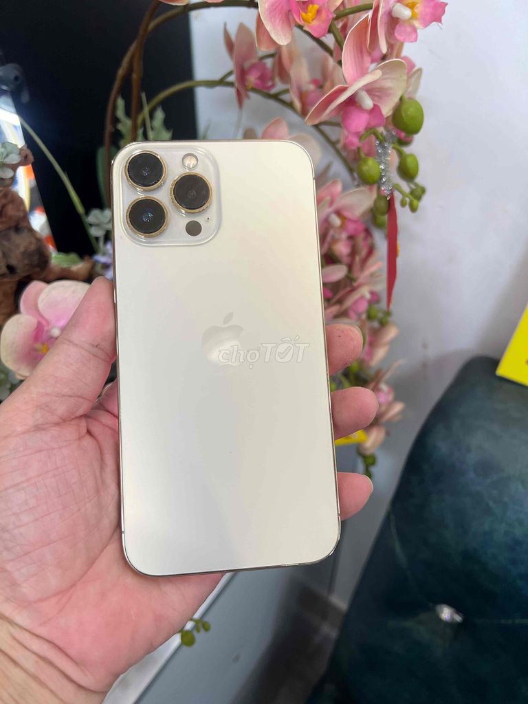 Apple iPhone 13 Pro Max 128GB quốc tế. Mua bán Điện thoại tại Thành phố Buôn Ma Thuột Đắk Lắk được đăng bởi Tèo Điện Thoại  hình 1