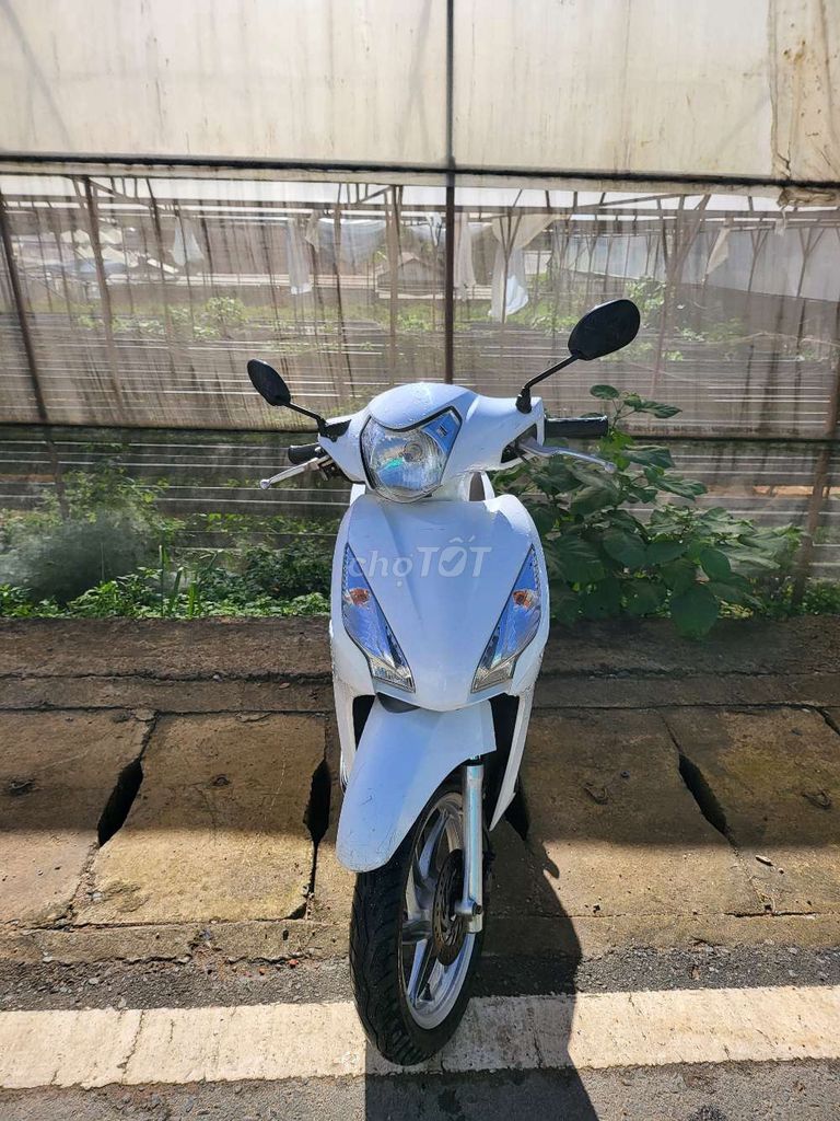 Cần bán Vision 2015. Mua bán Xe máy tại Thành phố Đà Lạt Lâm Đồng được đăng bởi Đồ gỗ cũ Đà Lạt hình 1