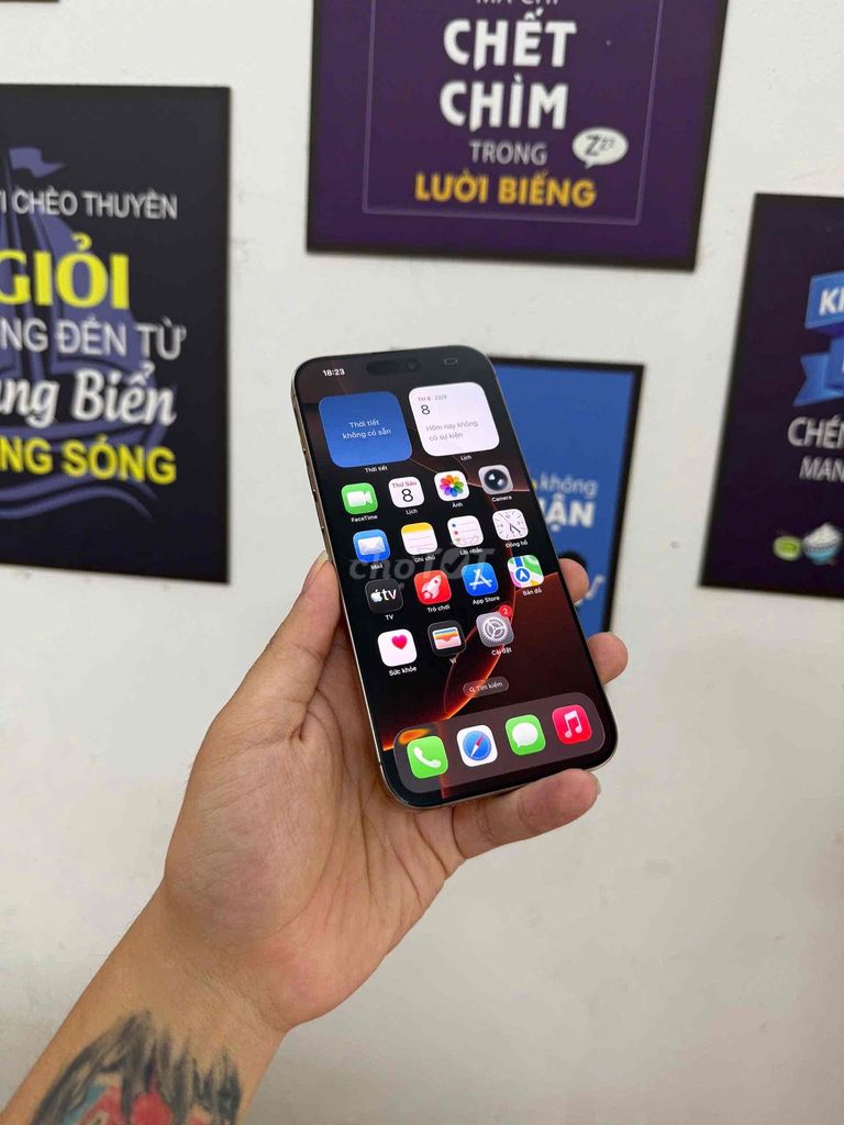 iPhone 16 Pro Max Lock 256GB Vàng. Mua bán Điện thoại tại Quận Đống Đa Hà Nội được đăng bởi KT Hà Nội Mobile hình 1