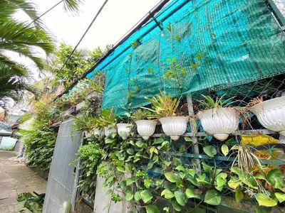 BÁN BIỆT THỰ SÂN VƯON 142M2 NGANG 11,5M CHỈ 1 SẸC HẺM 3 GÁC 1172 HTP
