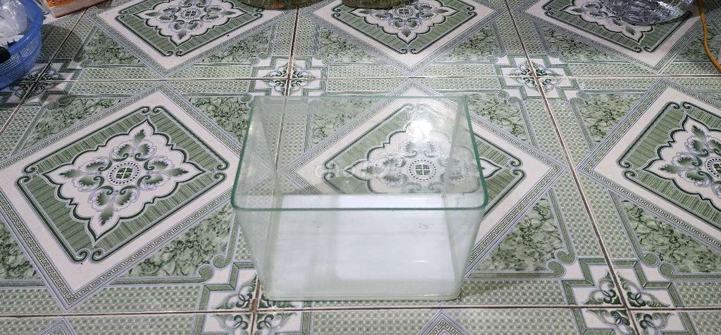 Bể cá mini Kính 22x15x17 cm Trang trí. Mua bán Phụ kiện, Thức ăn, Dịch vụ tại Huyện Gia Lâm Hà Nội được đăng bởi ANMAI hình 1