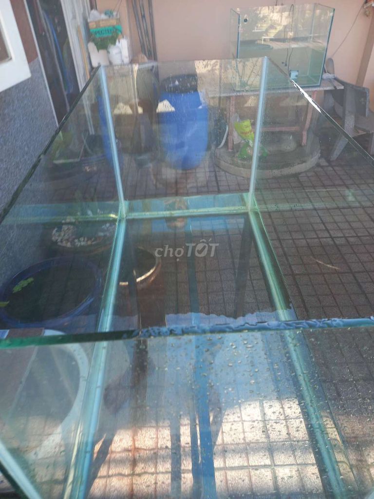 Bể cá cảnh 1m50x60 Kính 10li. Mua bán Phụ kiện, Thức ăn, Dịch vụ tại Huyện Xuyên Mộc Bà Rịa - Vũng Tàu được đăng bởi Dung Quoc  hình 1