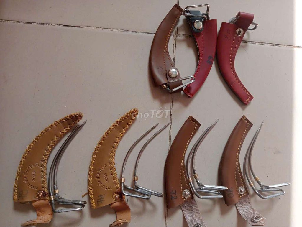  Cựa Việt Lai gà. Mua bán Gà tại Thành phố Biên Hòa Đồng Nai được đăng bởi Gia H hình 1