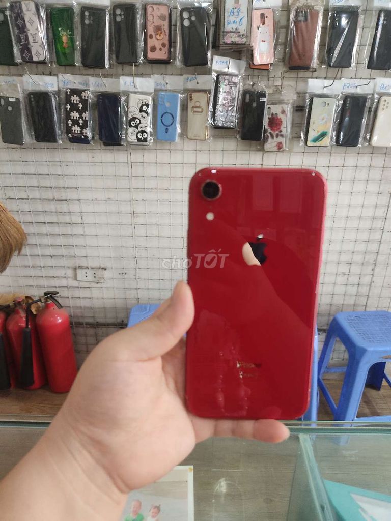 Apple iPhone XR 128GB Đỏ. Mua bán Điện thoại tại Quận Cầu Giấy Hà Nội được đăng bởi thuy  hình 1