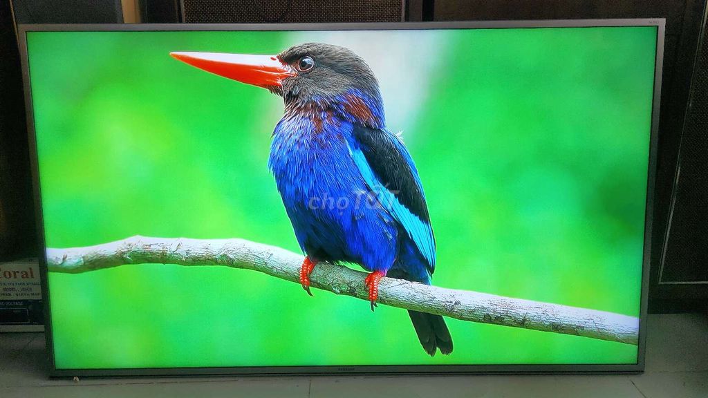 smart TV Samsung 43in wifi YouTube chạy nhanh m. Mua bán Tivi, Âm thanh tại Huyện Bình Chánh Tp Hồ Chí Minh được đăng bởi pham quang vinh hình 1