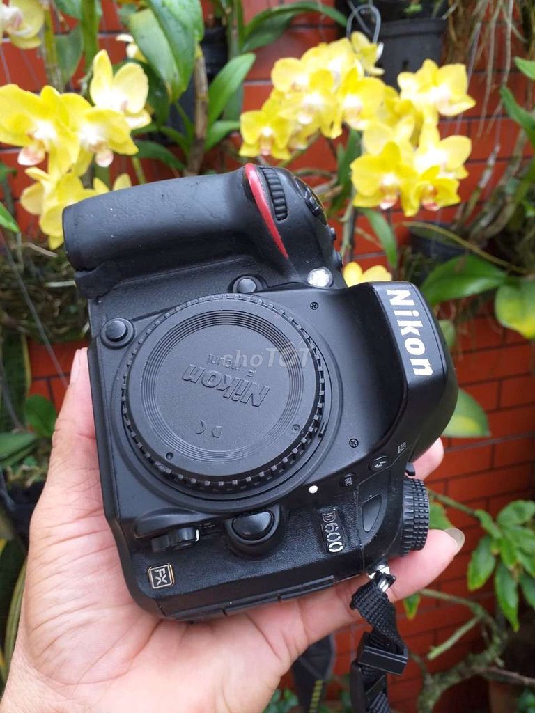 Máy ảnh Nikon D600 lens 24/85 VR