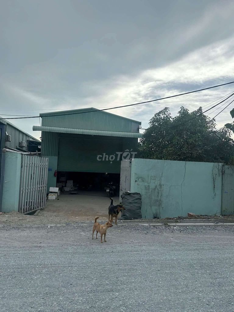kho xưởng giá rẻ cho thuê 