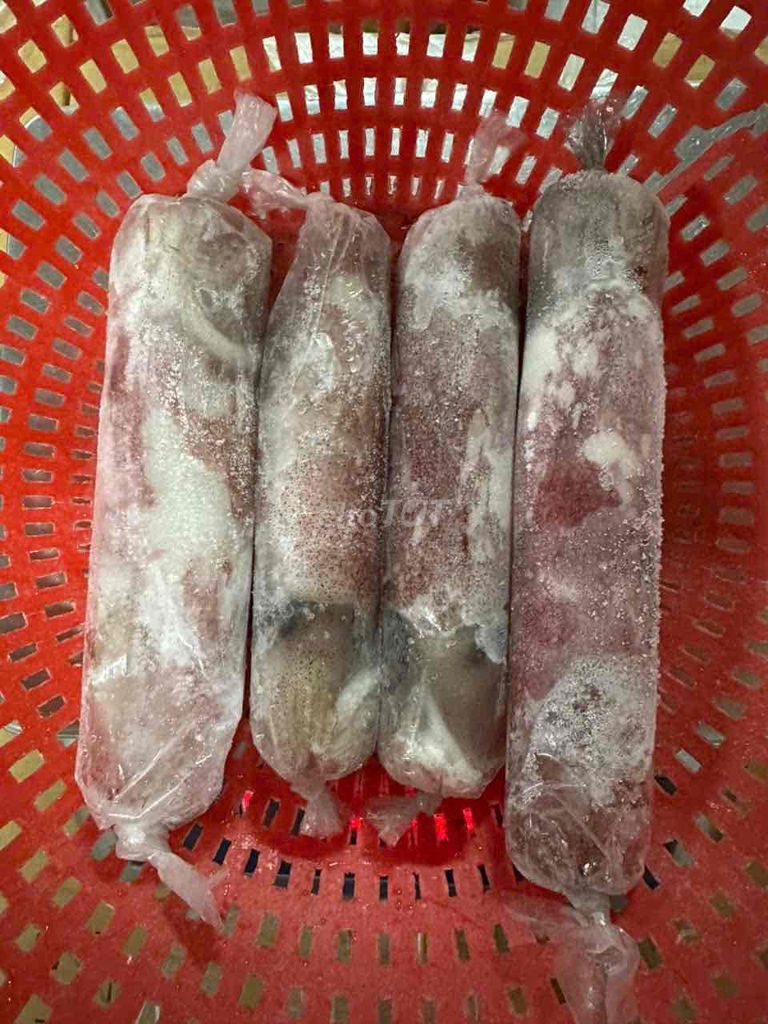 Bán Sĩ Mực ống đông lạnh 15-20cm. Mua bán Đồ ăn, thực phẩm và các loại khác tại Huyện Hóc Môn Tp Hồ Chí Minh được đăng bởi Thủy Sản Đông Lạnh HCM hình 1