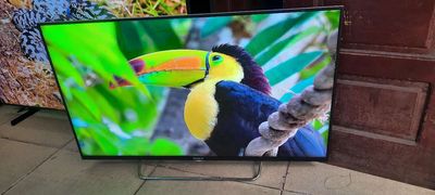 Bán chiếc tivi Smart Android SONY 43inch, Wi-fi