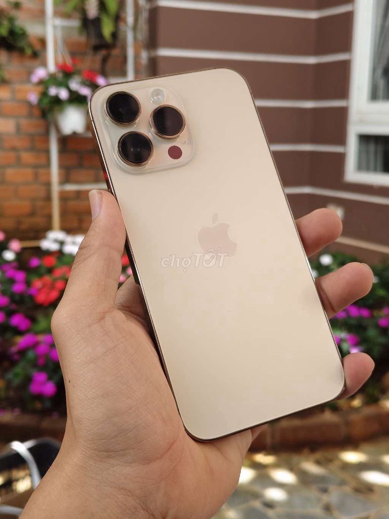 Apple iPhone 14 Pro Max Vàng LL/A. Mua bán Điện thoại tại Thành phố Buôn Ma Thuột Đắk Lắk được đăng bởi Dũng Nguyễn hình 1