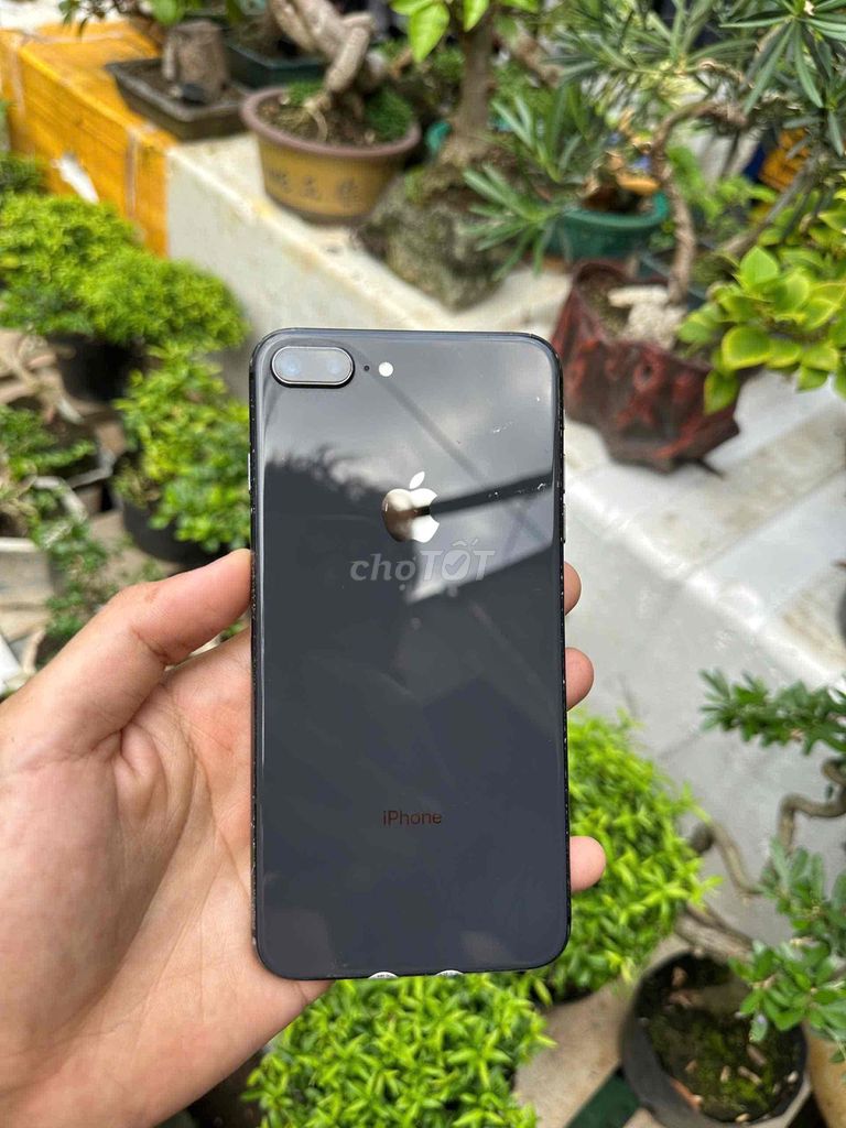 Apple iPhone 8 Plus 256GB Đen Đã sử dụng. Mua bán Điện thoại tại Thành phố Thủ Đức Tp Hồ Chí Minh được đăng bởi Cửa Hàng Điện Thoại Nhân Nghĩa hình 1