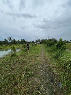 Bán 31.200m² vuông đất có 100m²  phường Vị Thanh, TP. Cần Thơ