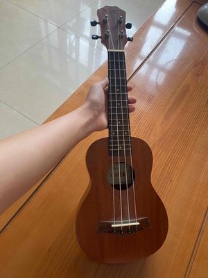 Đàn ukulele chính hãng yael âm vang, to, dễ dùng