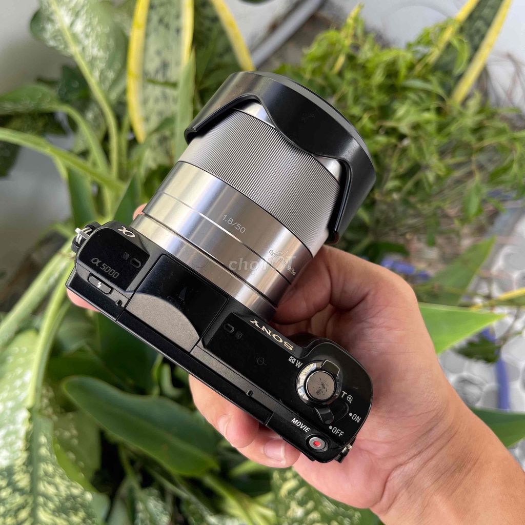 Máy ảnh Sony A5000 Đen Đã sử dụng. Mua bán Máy ảnh, Máy quay tại Quận Hải Châu Đà Nẵng được đăng bởi Phan Hoàng hình 1