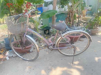 thanh lý xe đạp đang dùng ngon 400k. Quảng Biên TB