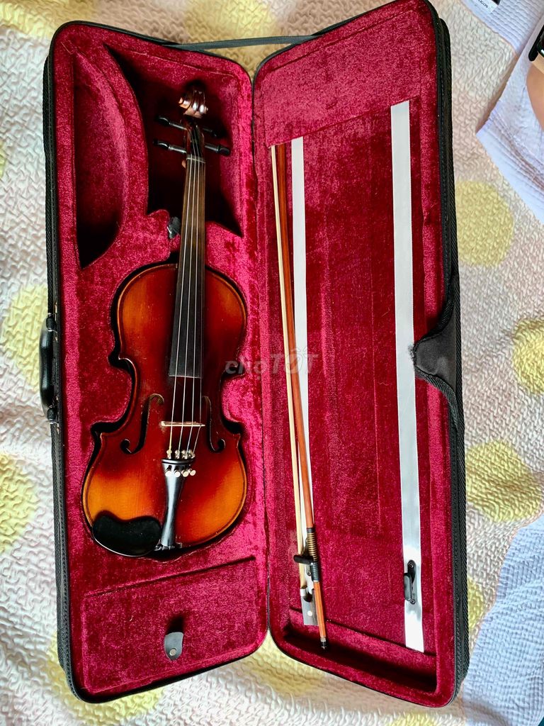 Violin Đức size 4/4 Vân gỗ đẹp âm thanh hay