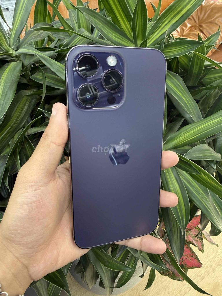 Apple iPhone 14 Pro Max 1TB Tím. Mua bán Điện thoại tại Quận Hai Bà Trưng Hà Nội được đăng bởi Diệu Vũ hình 1