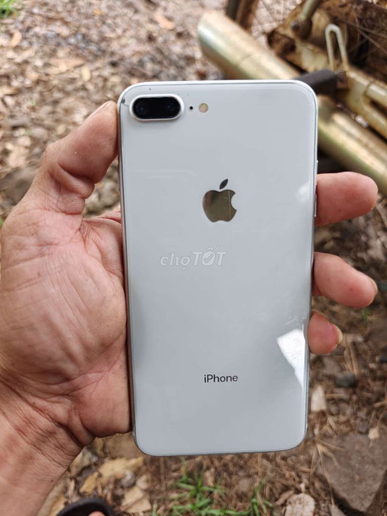 iPhone 8 Plus 64GB Trắng Đã sử dụng. Mua bán Điện thoại tại Huyện Thống Nhất Đồng Nai được đăng bởi lê thanh lợi hình 1