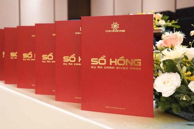 Cần bán gấp căn hộ Full nội thất ngay TT Cần Thơ, có sổ sẳn.