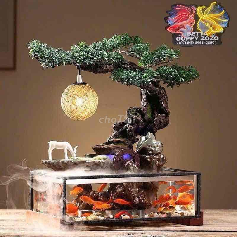 Bể cá cảnh Kính, Nhựa nhiều màu. Mua bán Cây cảnh, đồ trang trí tại Quận Liên Chiểu Đà Nẵng được đăng bởi Sâm hình 1