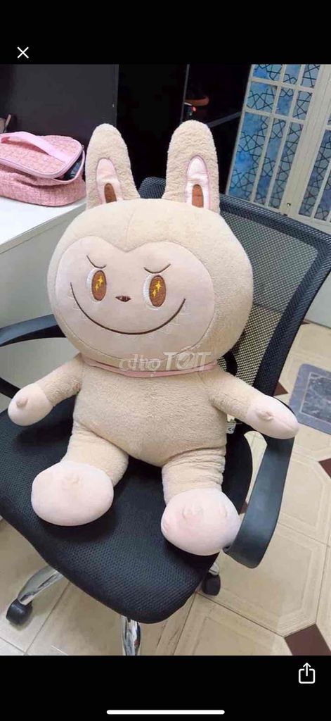 4 con gấu như hình 200k