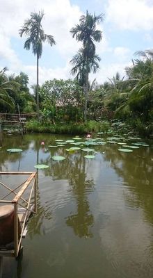 cho thuê vườn sinh thái, cà phê, câu cá, nghỉ dưỡng