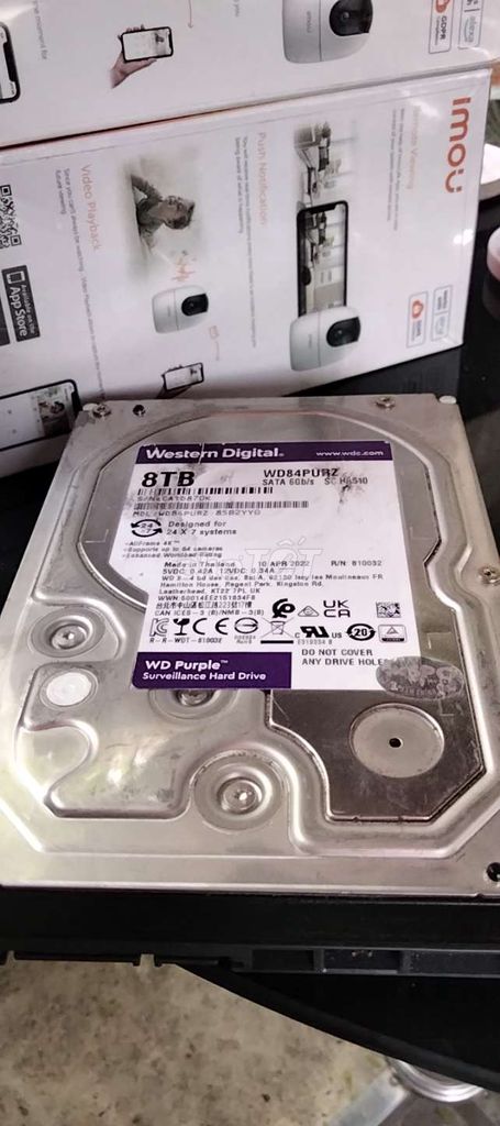 HDD WD 8T