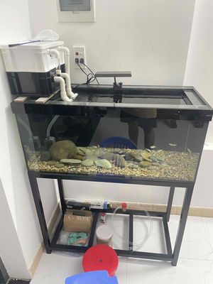combo hồ mới 944 8ly và cá. Mua bán Thú cưng khác tại Quận Liên Chiểu Đà Nẵng được đăng bởi Thịnh Pro