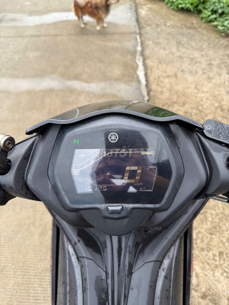 Ex 155 VVA 2021. Mua bán Xe máy tại Thành phố Bến Tre Bến Tre được đăng bởi Đỗ nhân nghĩa hình 5