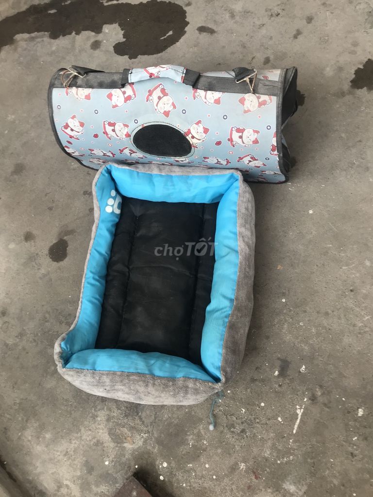 Túi đựng mèo vả đệm nằm. Mua bán Phụ kiện, Thức ăn, Dịch vụ tại Quận Lê Chân Hải Phòng được đăng bởi Dung Anh hình 1
