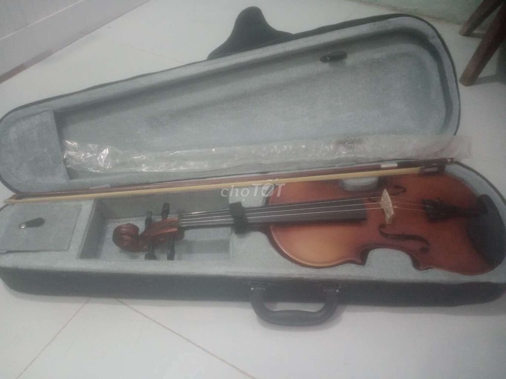 Violin Woim 4/4