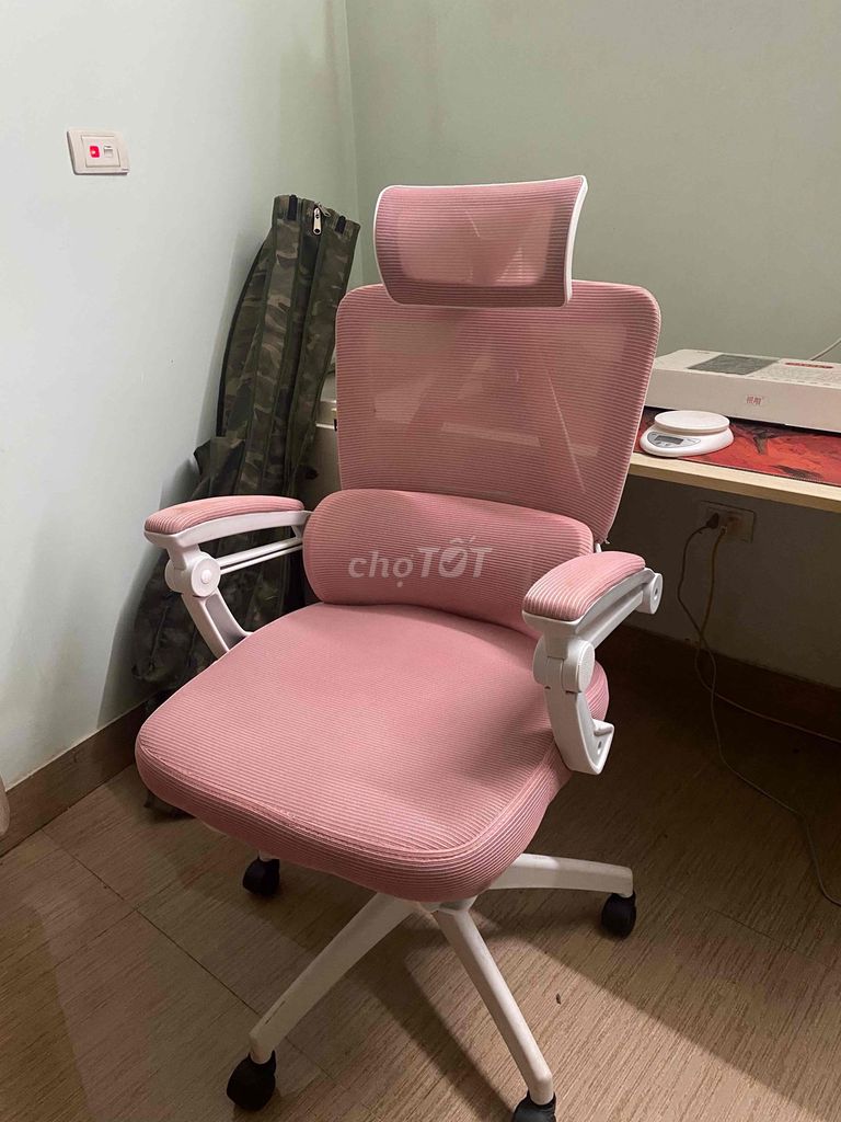 Ghế công thái học vải lưới Hồng. Mua bán Bàn ghế tại Quận Nam Từ Liêm Hà Nội được đăng bởi Hồ Trọng Bách hình 1