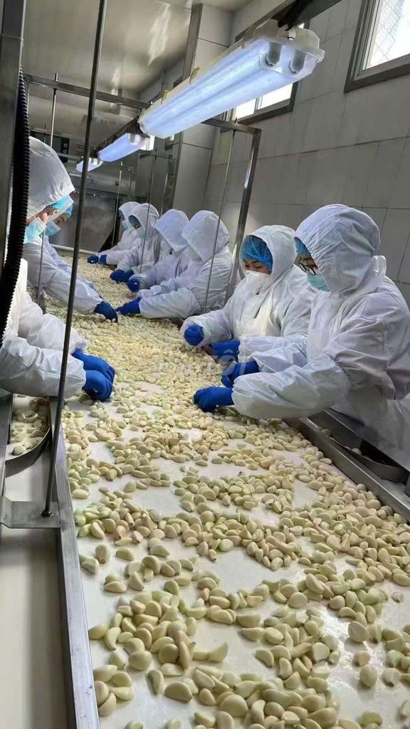 Tép tỏi đóng gói chân không. Mua bán Đồ ăn, thực phẩm và các loại khác tại Quận 4 Tp Hồ Chí Minh được đăng bởi NGUYEN HOANG GROUPS hình 1