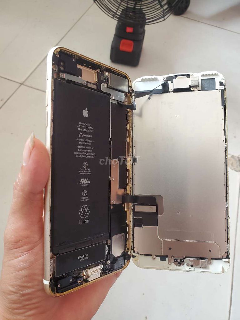 7 Plus 256GB zin đét full chức năng ko 1 lỗi nhỏ. Mua bán Điện thoại tại Huyện Đông Anh Hà Nội được đăng bởi SƠN MOBILE hình 1