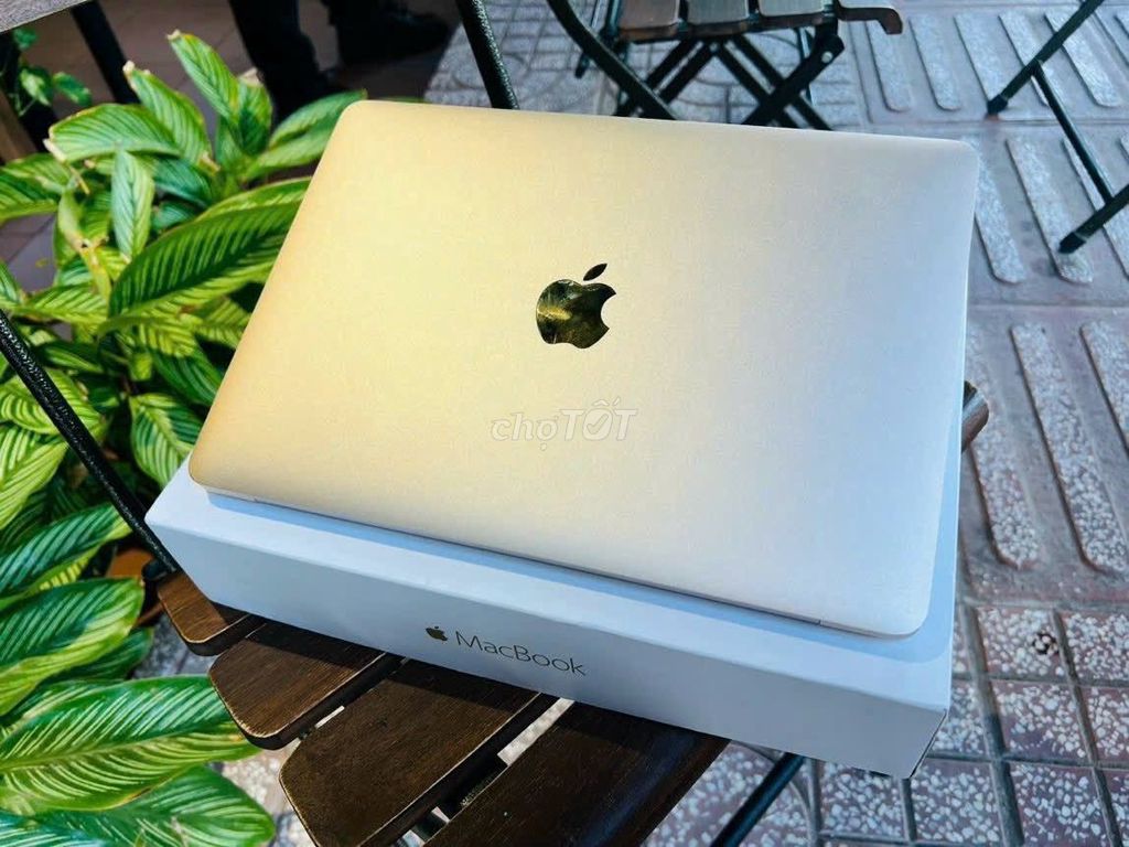 Apple Macbook Air Core M5 12 inch 8GB/516GB Vàng. Mua bán Laptop tại Quận 5 Tp Hồ Chí Minh được đăng bởi Hội Đồ Điện Tử hình 1