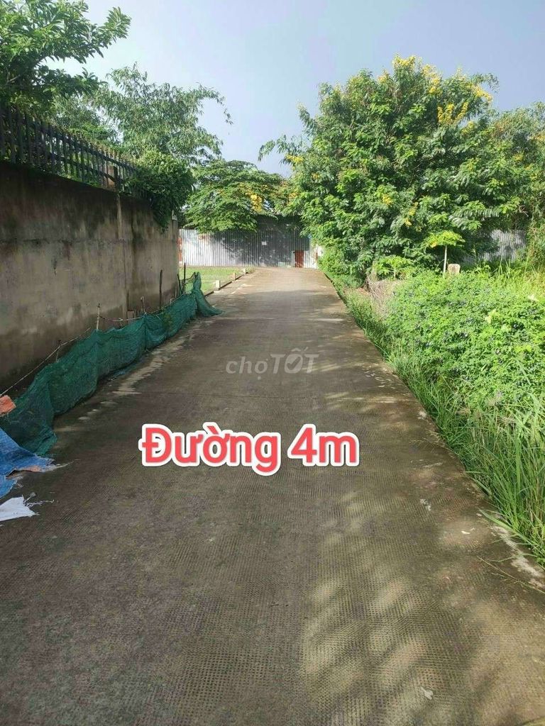 🆘🆘 90m2 ĐẤT THỔ CƯ HẺM 4M GIÁ TỐT THỊ TRẤN TÂN TÚC