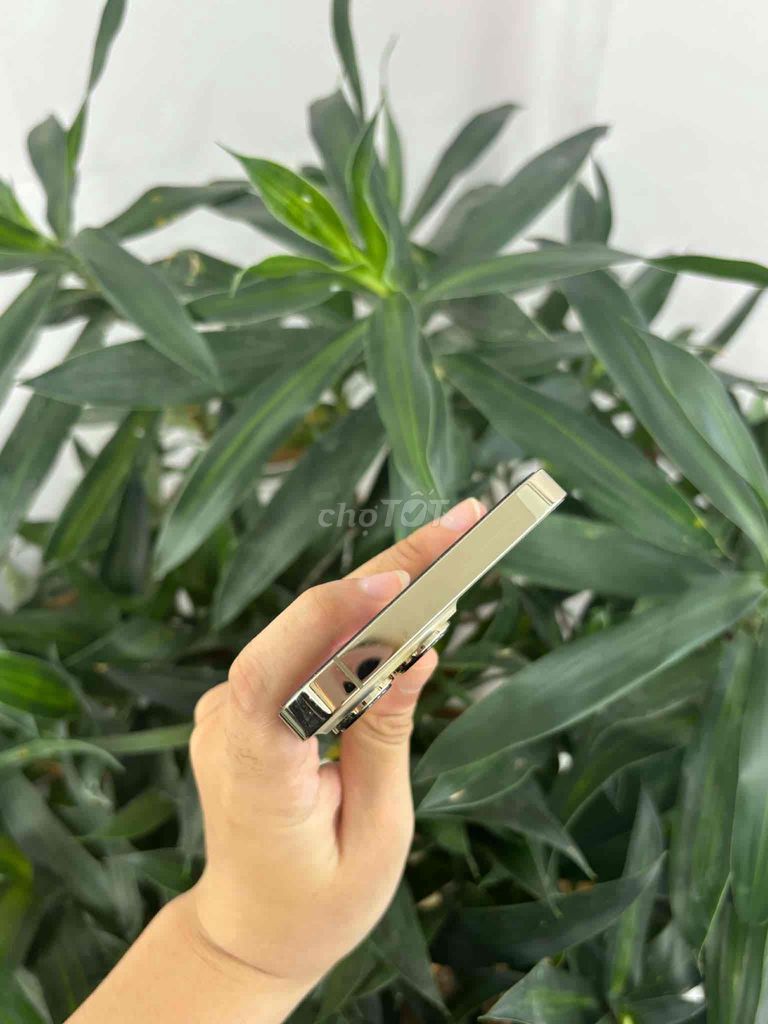 Apple iPhone 13 Pro 128GB Vàng Zin cả cây. Mua bán Điện thoại tại Quận Ô Môn Cần Thơ được đăng bởi Cao Hoàng Phương Ngân hình 1