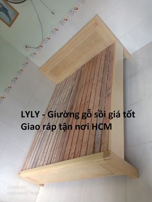 Giường gỗ cao cấp siêu bền giá rẻ HCM 1m2-1m8x2m